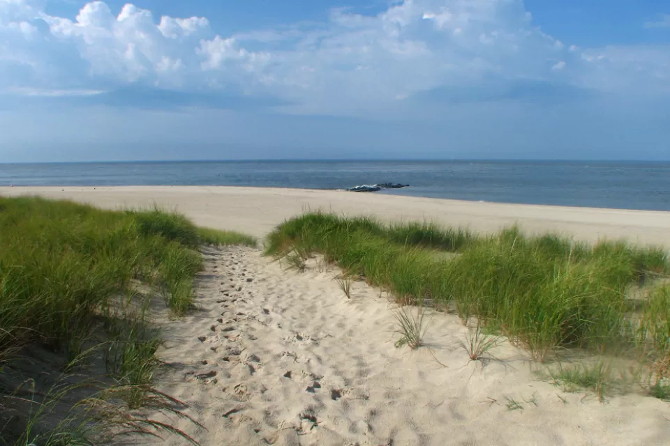 An image of a path through sand dunes to ocean in New Jersey